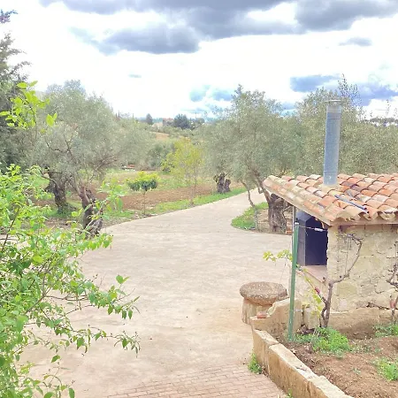 Alojamiento Rural El Olivar Holiday home Ronda