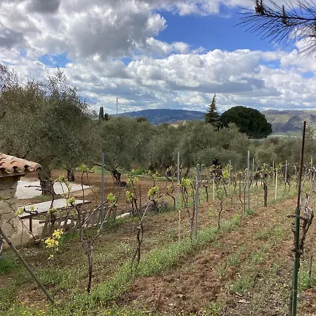 Alojamiento Rural El Olivar *