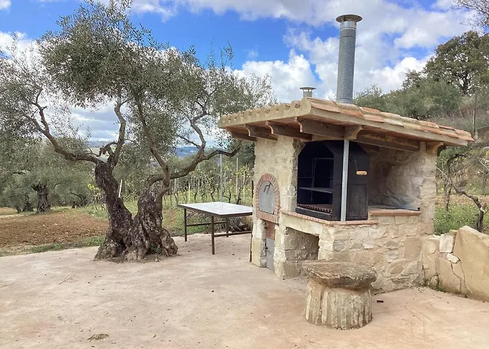 Alojamiento Rural El Olivar *