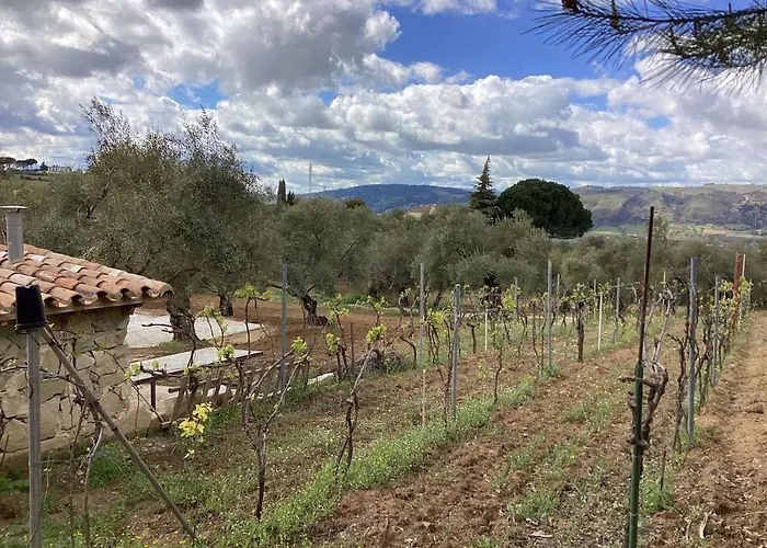 Alojamiento Rural El Olivar *